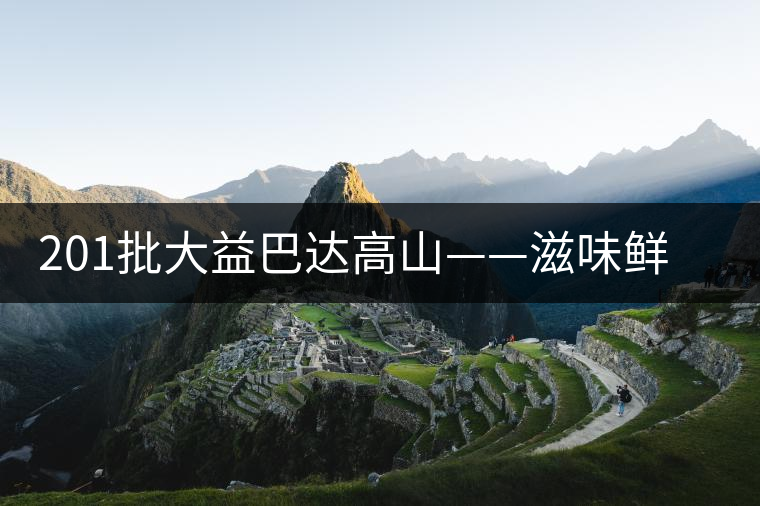 201批大益巴達(dá)高山——滋味鮮爽醇厚，回甘高而持久