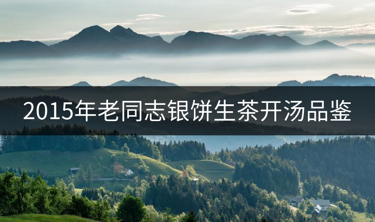 2015年老同志銀餅生茶開湯品鑒