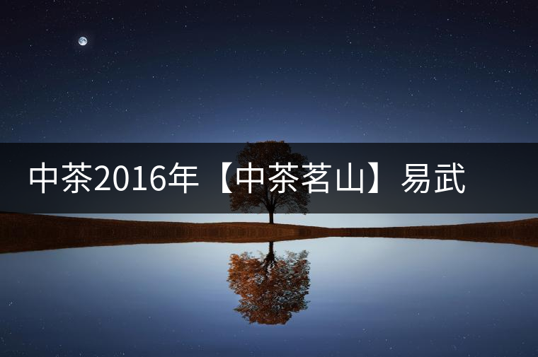 中茶2016年【中茶茗山】易武熟茶開(kāi)湯品鑒