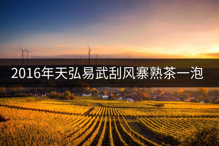 2016年天弘易武刮風寨熟茶一泡耐人尋味！
