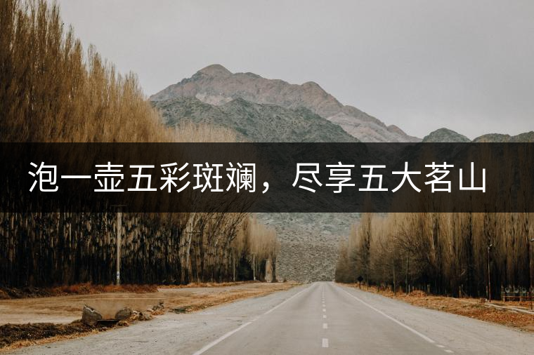 泡一壺五彩斑斕，盡享五大茗山之味