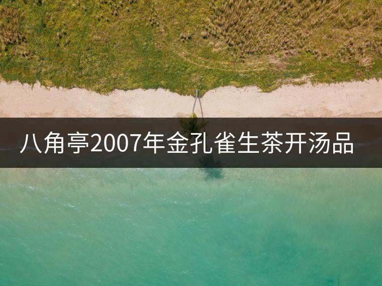 八角亭2007年金孔雀生茶開湯品鑒 八角亭2007年金孔雀生茶開湯品鑒