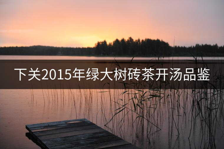 下關(guān)2015年綠大樹(shù)磚茶開(kāi)湯品鑒 下關(guān)2015年綠大樹(shù)磚茶開(kāi)湯品鑒