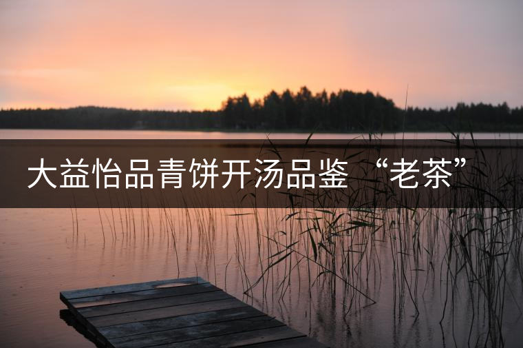 大益怡品青餅開湯品鑒 “老茶”韻 大益怡品青餅開湯品鑒 “老茶”韻
