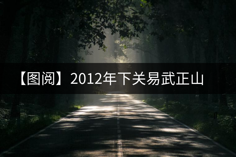 【圖閱】2012年下關易武正山老樹沱鑒賞 【圖閱】2012年下關易武正山老樹沱鑒賞