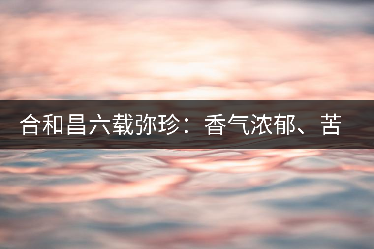 合和昌六載彌珍：香氣濃郁、苦澀均衡