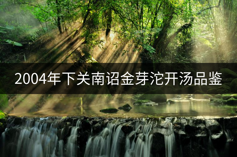 2004年下關(guān)南詔金芽沱開湯品鑒