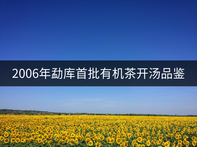 2006年勐庫首批有機茶開湯品鑒