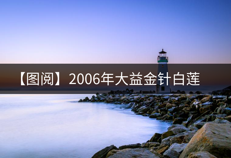 【圖閱】2006年大益金針白蓮開湯 【圖閱】2006年大益金針白蓮開湯