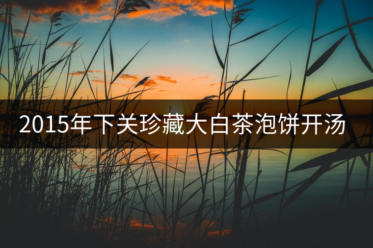 2015年下關(guān)珍藏大白茶泡餅開湯品鑒 2015年下關(guān)珍藏大白茶泡餅開湯品鑒