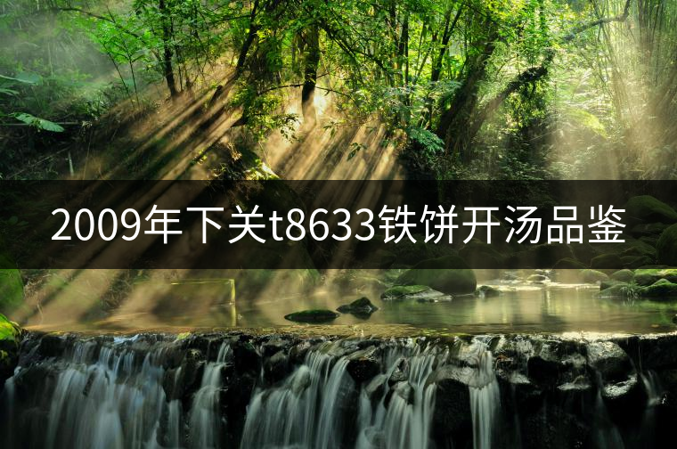 2009年下關(guān)t8633鐵餅開湯品鑒 2009年下關(guān)t8633鐵餅開湯品鑒