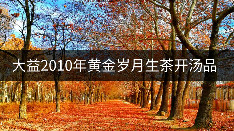 大益2010年黃金歲月生茶開(kāi)湯品鑒