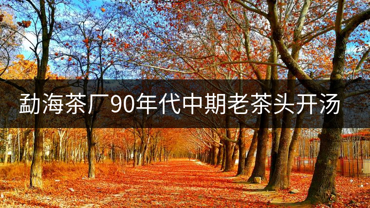 勐海茶廠(chǎng)90年代中期老茶頭開(kāi)湯品鑒 勐海茶廠(chǎng)90年代中期老茶頭開(kāi)湯品鑒
