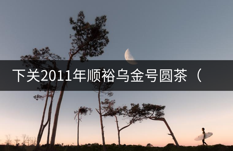 下關(guān)2011年順裕烏金號圓茶（泡餅）開湯品鑒