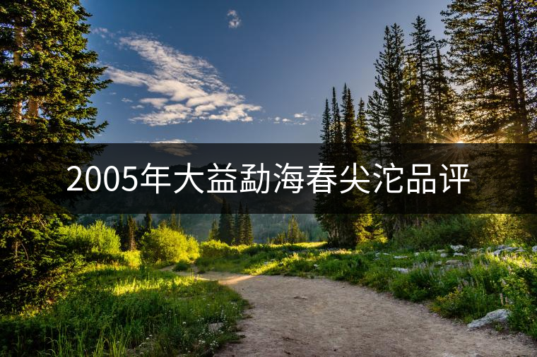 2005年大益勐海春尖沱品評