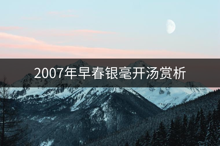 2007年早春銀毫開湯賞析 2007年早春銀毫開湯賞析