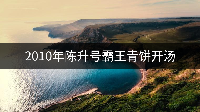 2010年陳升號霸王青餅開湯