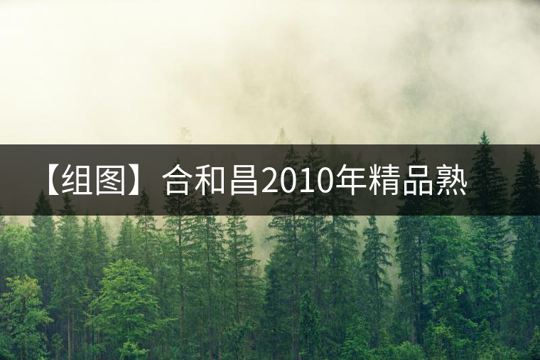 【組圖】合和昌2010年精品熟茶開(kāi)湯