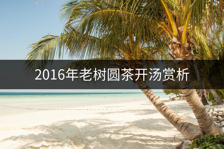 2016年老樹(shù)圓茶開(kāi)湯賞析 2016年老樹(shù)圓茶開(kāi)湯賞析