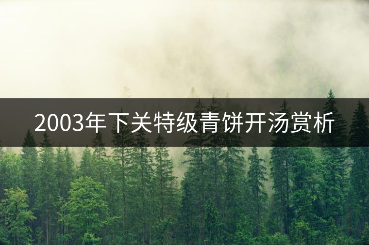 2003年下關(guān)特級青餅開湯賞析 2003年下關(guān)特級青餅開湯賞析