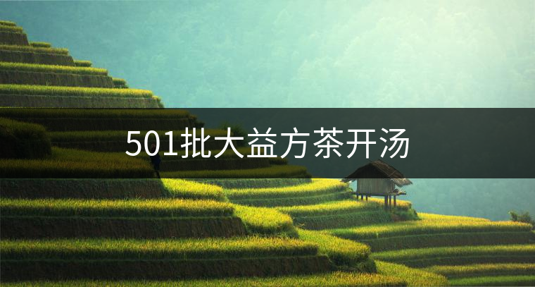 501批大益方茶開(kāi)湯 501批大益方茶開(kāi)湯