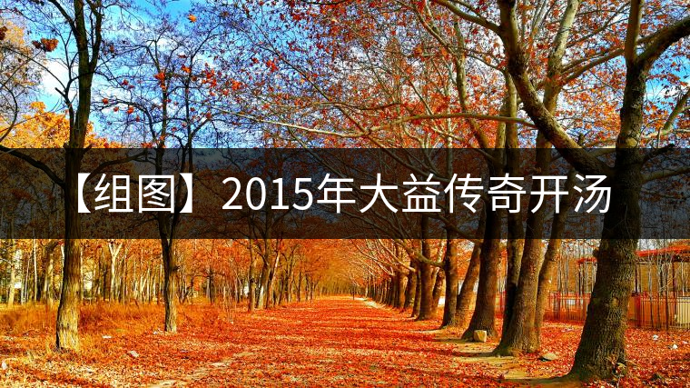 【組圖】2015年大益?zhèn)髌骈_(kāi)湯