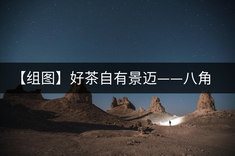 【組圖】好茶自有景邁——八角亭大典景邁開(kāi)湯