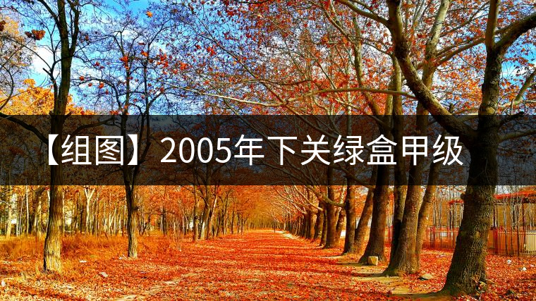 【組圖】2005年下關(guān)綠盒甲級(jí)沱開湯