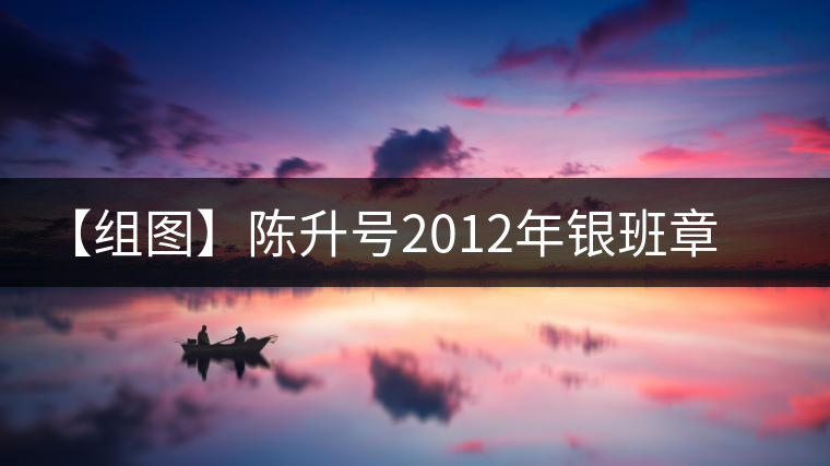 【組圖】陳升號(hào)2012年銀班章磚茶開湯 【組圖】陳升號(hào)2012年銀班章磚茶開湯