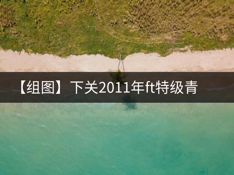 【組圖】下關(guān)2011年ft特級青餅開湯 【組圖】下關(guān)2011年ft特級青餅開湯