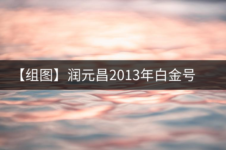 【組圖】潤元昌2013年白金號(hào)喬木圓茶開湯