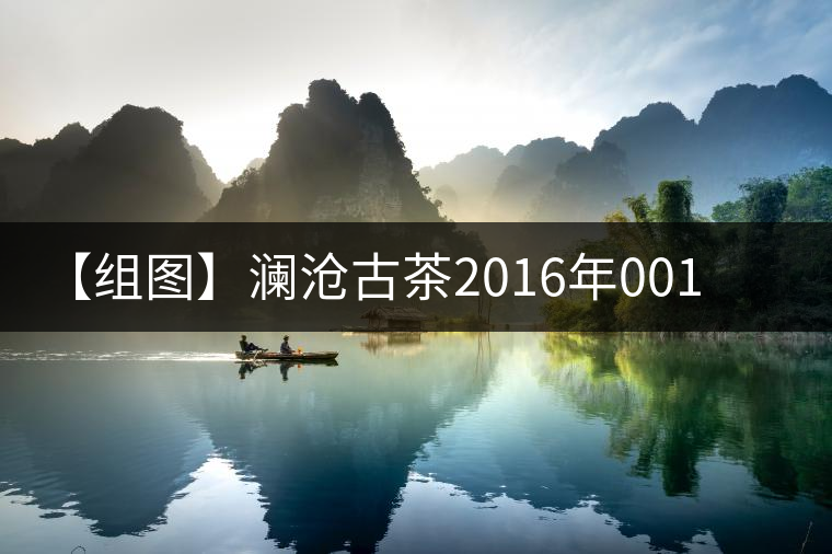 【組圖】瀾滄古茶2016年001開(kāi)湯 【組圖】瀾滄古茶2016年001開(kāi)湯