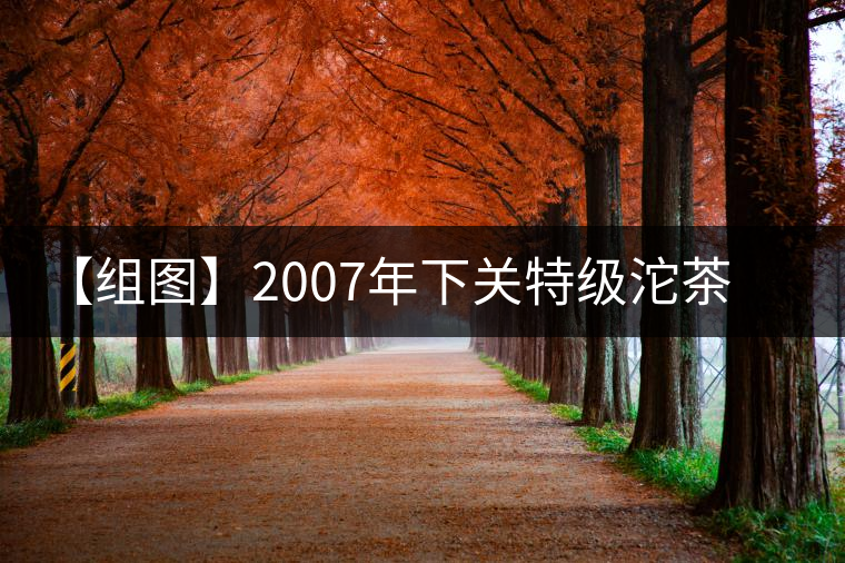 【組圖】2007年下關(guān)特級沱茶開湯 【組圖】2007年下關(guān)特級沱茶開湯