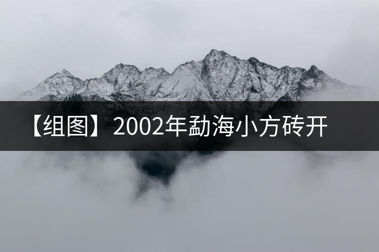【組圖】2002年勐海小方磚開(kāi)湯 【組圖】2002年勐海小方磚開(kāi)湯