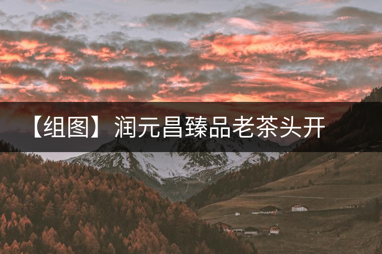 【組圖】潤(rùn)元昌臻品老茶頭開湯 【組圖】潤(rùn)元昌臻品老茶頭開湯