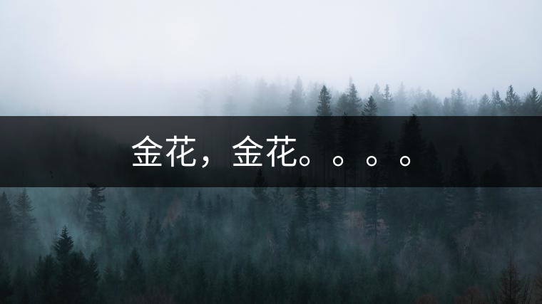 金花，金花。。。。