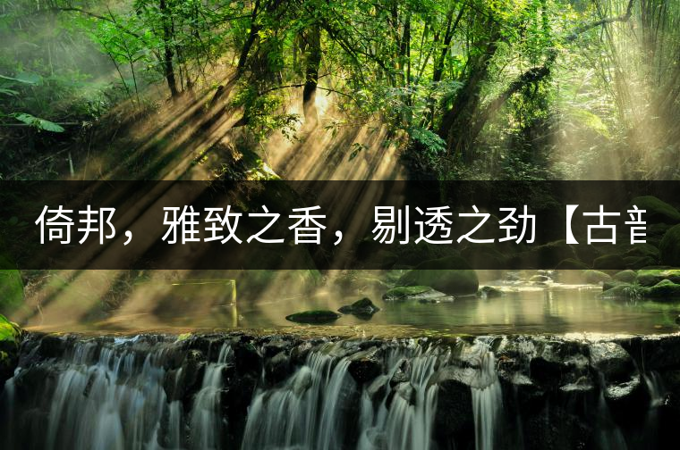 倚邦，雅致之香，剔透之勁【古普十二山品鑒】