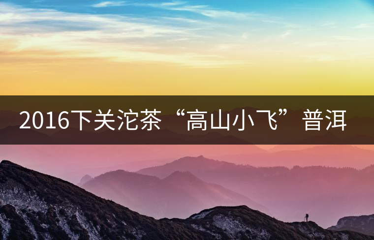2016下關沱茶“高山小飛”普洱熟茶