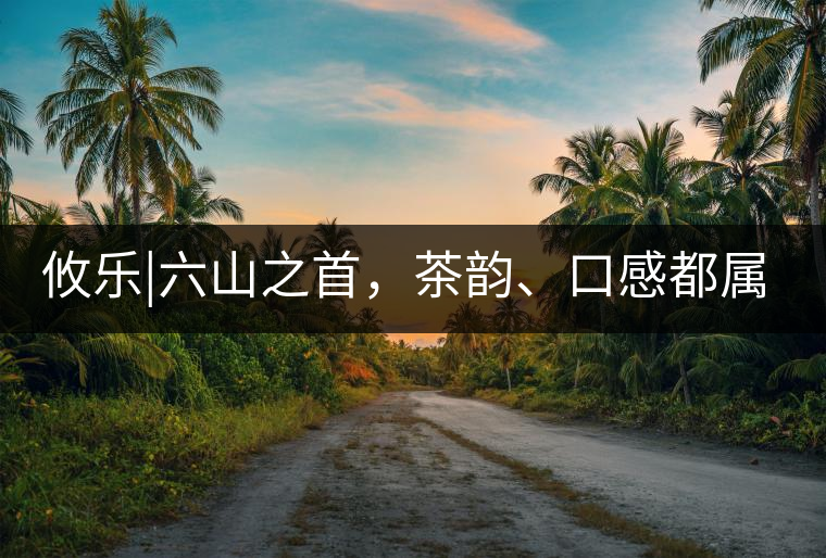 攸樂|六山之首，茶韻、口感都屬古六山一系