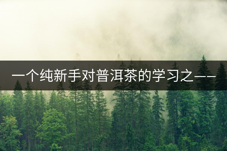 一個純新手對普洱茶的學(xué)習(xí)之——【韻】