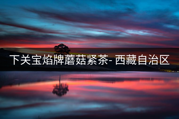 下關寶焰牌蘑菇緊茶- 西藏自治區(qū)成立40周年紀念 下關寶焰牌蘑菇緊茶- 西藏自治區(qū)成立40周年紀念