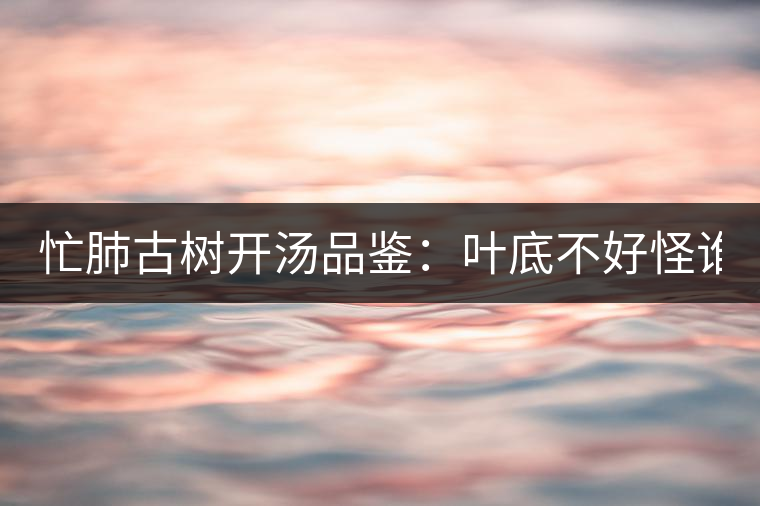 忙肺古樹(shù)開(kāi)湯品鑒：葉底不好怪誰(shuí)？