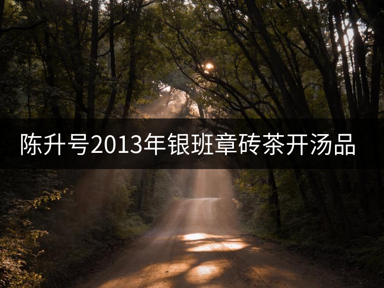 陳升號2013年銀班章磚茶開湯品鑒 陳升號2013年銀班章磚茶開湯品鑒