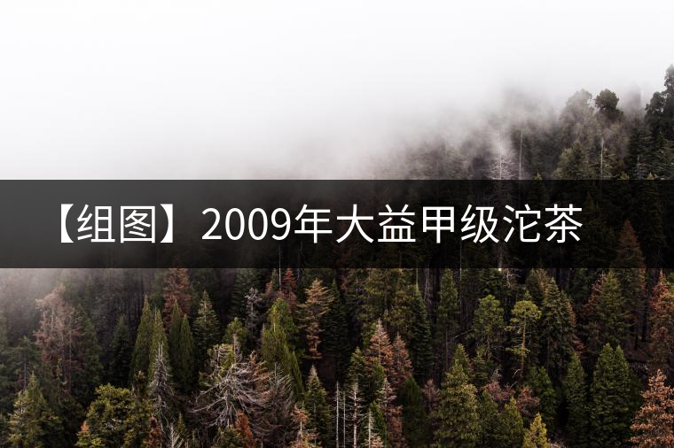 【組圖】2009年大益甲級(jí)沱茶開湯