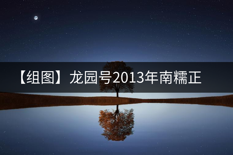 【組圖】龍園號2013年南糯正山小餅開湯 【組圖】龍園號2013年南糯正山小餅開湯