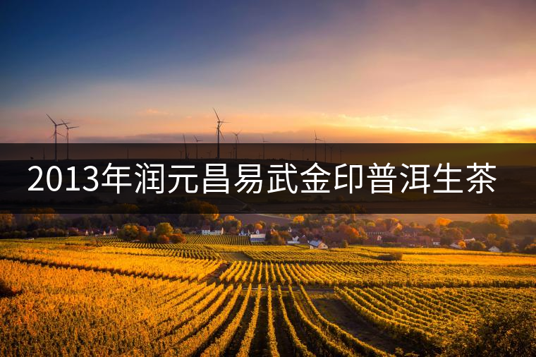 2013年潤(rùn)元昌易武金印普洱生茶開(kāi)湯 2013年潤(rùn)元昌易武金印普洱生茶開(kāi)湯