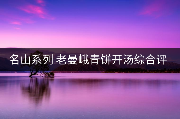 名山系列 老曼峨青餅開湯綜合評測 名山系列 老曼峨青餅開湯綜合評測