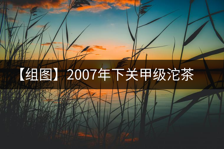【組圖】2007年下關(guān)甲級(jí)沱茶開(kāi)湯