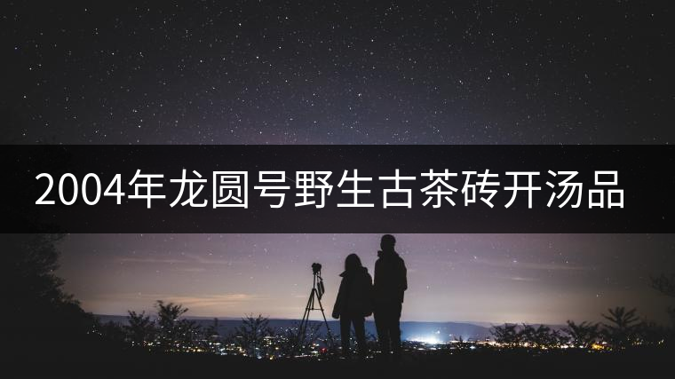2004年龍圓號(hào)野生古茶磚開(kāi)湯品鑒