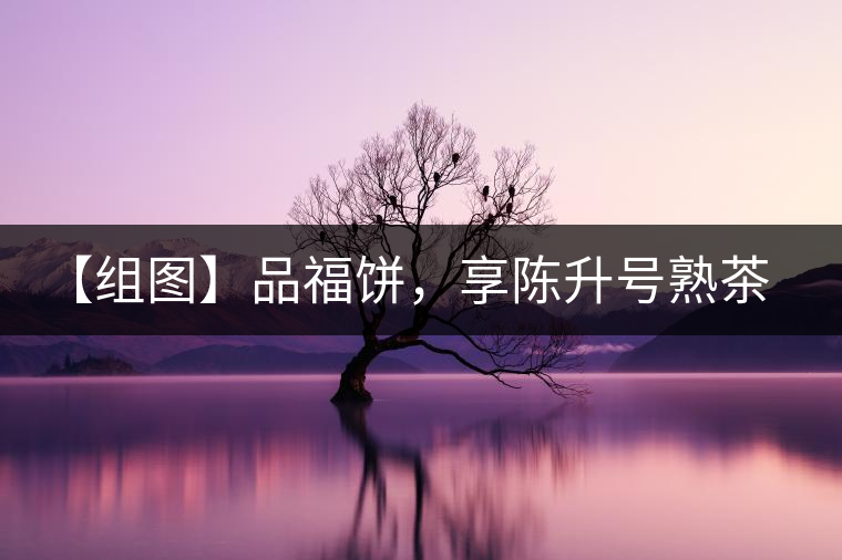 【組圖】品福餅，享陳升號(hào)熟茶滋味